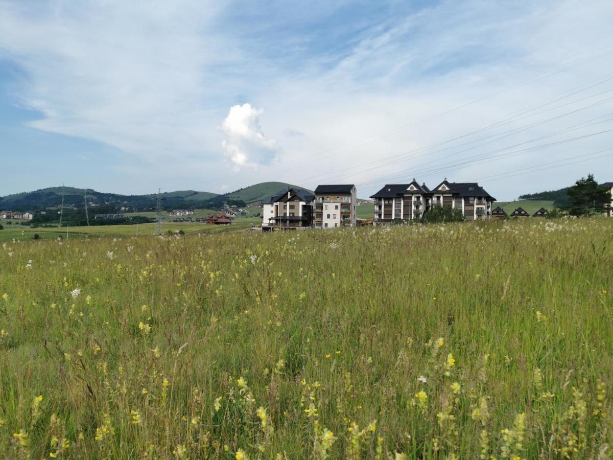 Novi Vlah Apartment