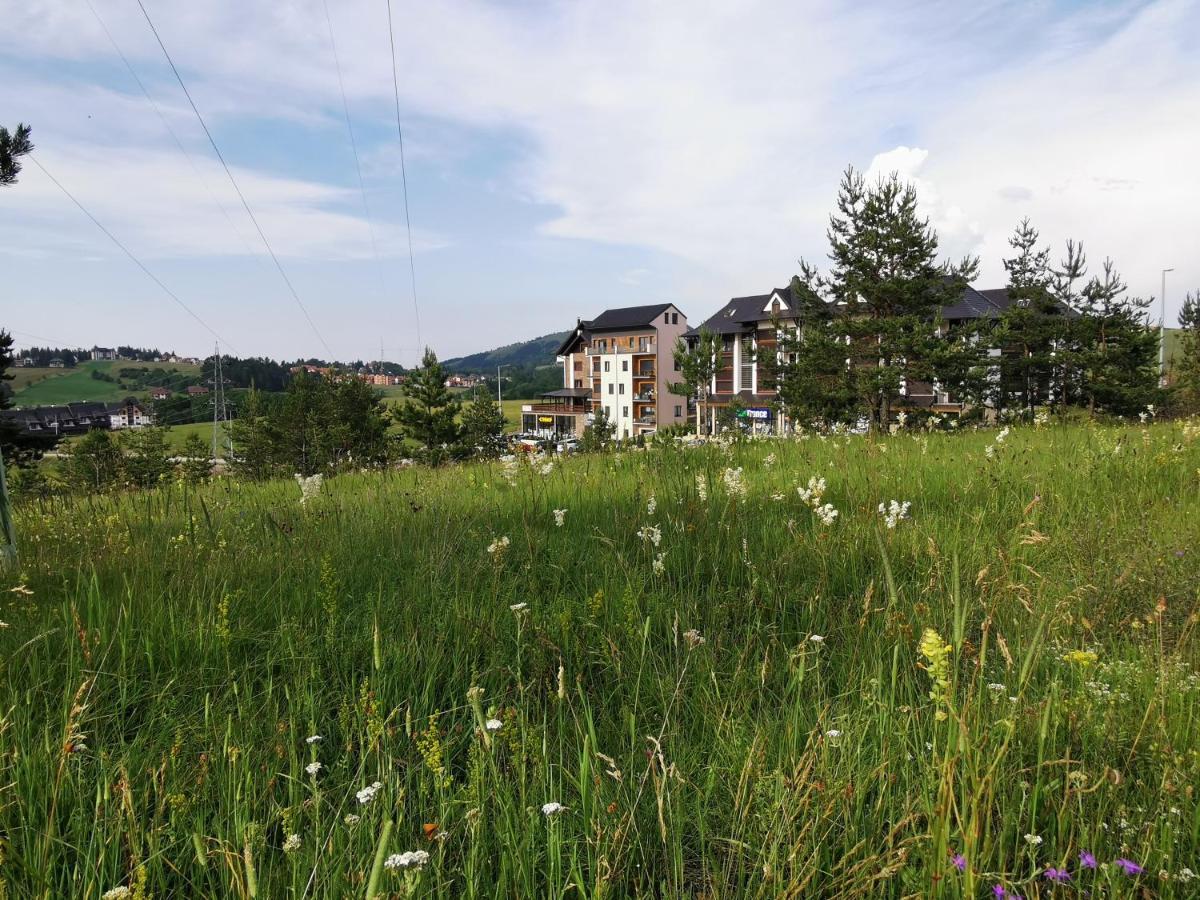 Novi Vlah * Zlatibor